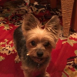 Meet your Posher, Tammy